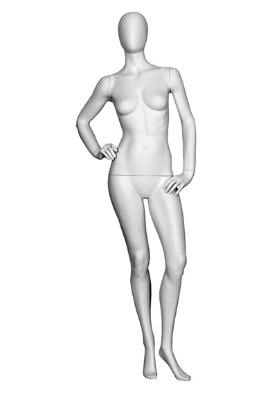 T3-2 image