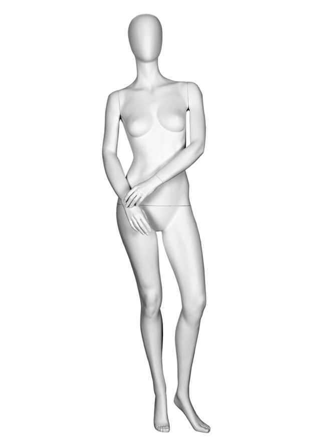 T3-3 image