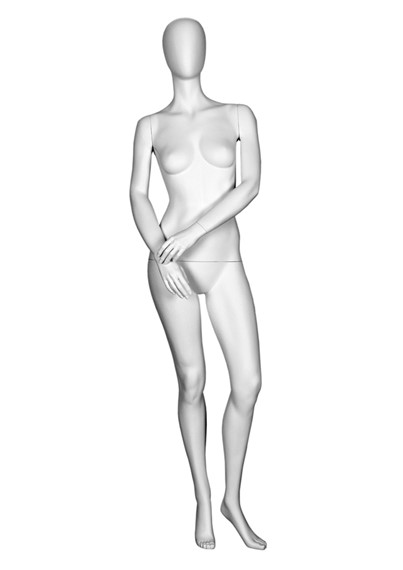 T3-3 image