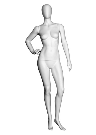 T3 image