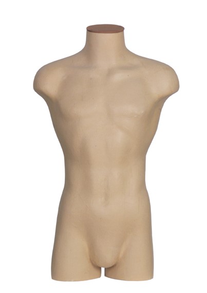 PMT3 image