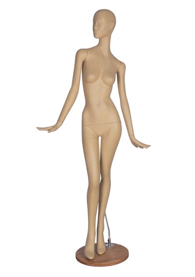 SL5_PM image