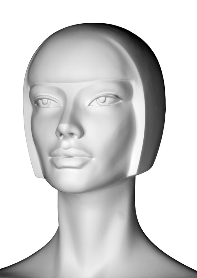DFL 2 image