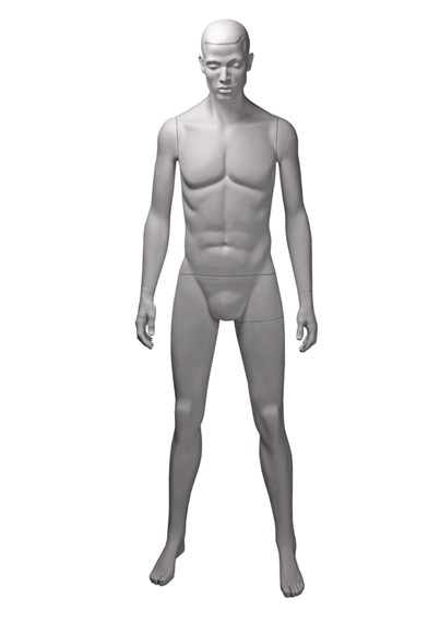 PRM13 image