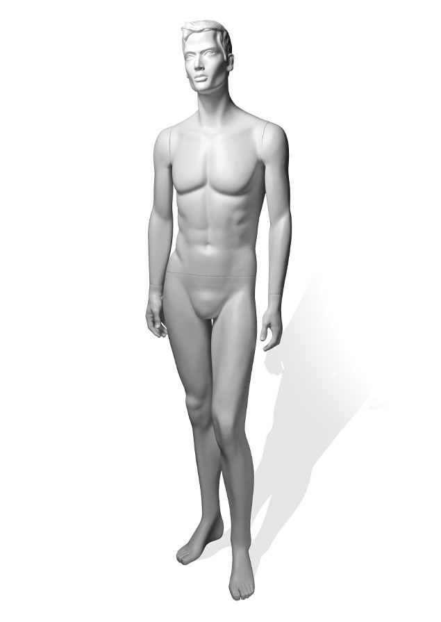 PRM1_PRM1 image