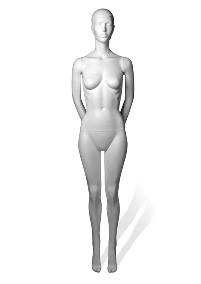 PR1.3 image