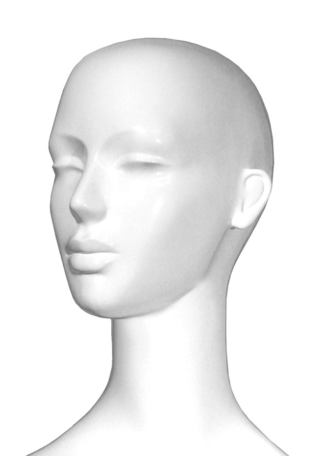 SL2 HEAD image