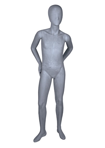 T2B12 image