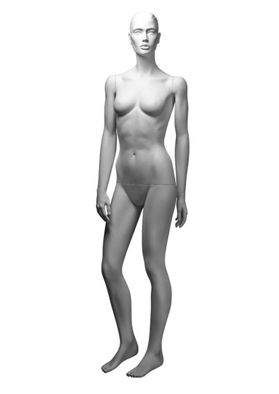 YG1 image