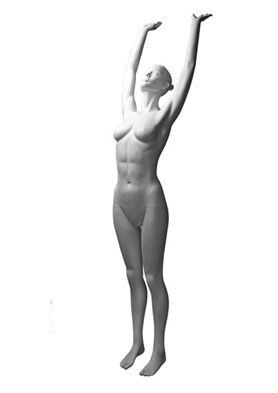 YG4 image