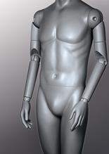 Articulated Mannequin Arms image
