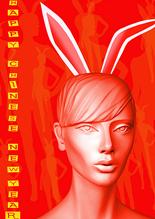 Chinese New Year 2011 Year of the Rabbit image