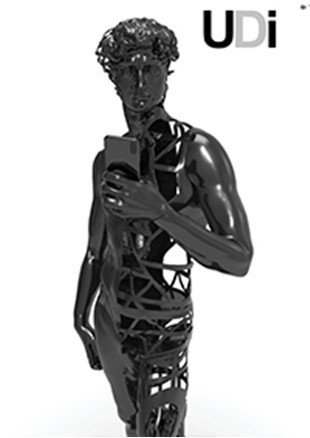 UDI 2020 image